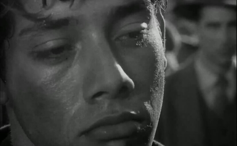 ノワールの製作者：パイン＆トーマス